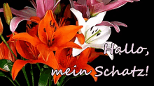 Hallo, Mein Schatz! GIF - Mein Schatz Blumen Lilien GIFs