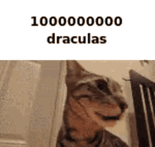 Dracula Draculas GIF - Dracula Draculas 1000000 GIFs