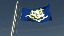 a blue and white flag with the words " the transto justice "