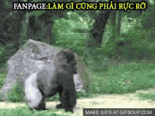 dance wiggle gorilla walk strut