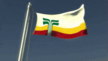 a flag that has a green t on it