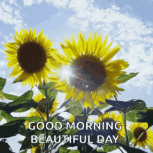 Good Morning Flowers GIF - Good Morning Flowers Beautiful GIFs