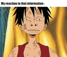 My Reaction To That Information One Piece GIF - My Reaction To That Information One Piece Meme GIFs