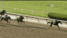 Horse Race GIF - Horse Race Omw GIFs