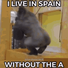 Spain Without A Hot Sex GIF - Spain Without A Hot Sex GIFs