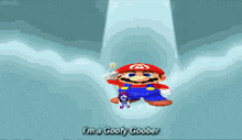 a pixel art of mario with the words " i 'm a goofy goober " below him