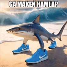 a shark is walking on the beach wearing blue nike shoes .