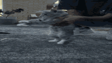 a couple of cats are playing with a stick on the floor