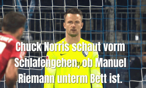 Vfl Vfl Bochum GIF VFL Vfl Bochum Riemann Discover & Share GIFs