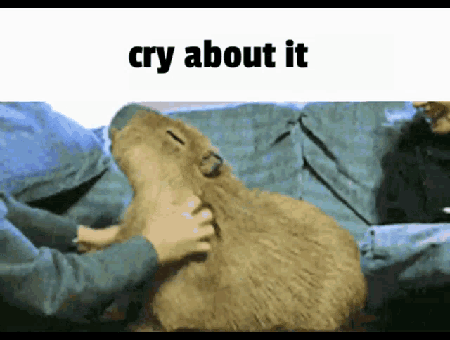 Cry About It Capybara GIF - Cry About It Capybara GIFs
