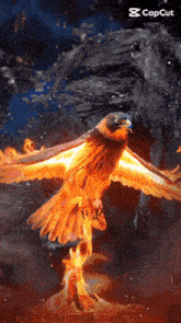 an animated image of a bird with flames coming out of its feet