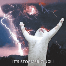 GIF