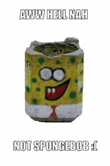 spongebob trash trash can no hell nah