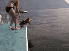 Corgi Jump GIF - Corgi Jump Jumping GIFs