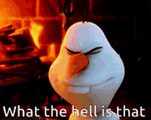 Olaf Scared GIF - Olaf Scared What The Hell Is That GIFs