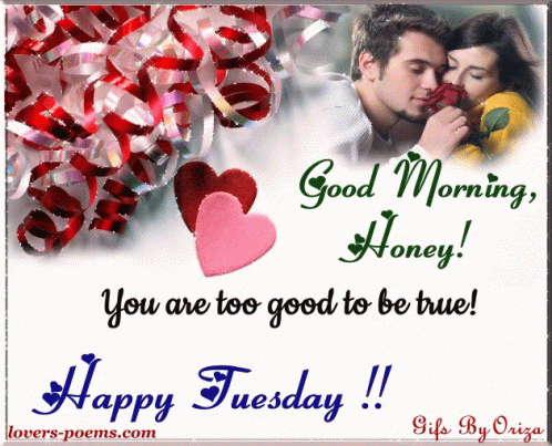 Good Morning Honey Happy Tuesday Gif - Good Morning Honey Happy Tuesday Love  You - Discover & Share Gifs