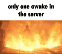 Only One Awake In The Server GIF - Only One Awake In The Server Awake In The Server GIFs