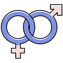 Gender Male GIF - Gender Male Female GIFs