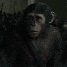 Planet Of The Apes Blue Eyes GIF - Planet Of The Apes Blue Eyes GIFs