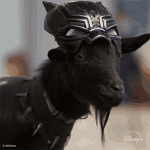 Looking At You Goats GIF - Looking At You Goats Black Panther GIFs