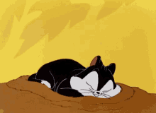 Sue Sleeping GIF - Sue Sleeping Cat GIFs