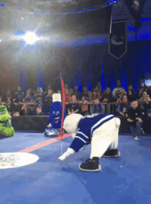 toronto maple leafs carlton the bear handstand trying to do handstand nhl
