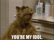 Alf Youre My Idol GIF - Alf Youre My Idol My Idol GIFs