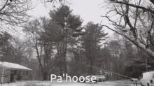 Pahoose Tree GIF - Pahoose Tree Goron House GIFs