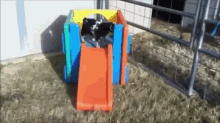 Goats Were Not Made To Go Down Slides GIF - Goat Slide Awkward GIFs