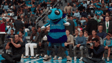 Charlotte Hornets Hugo The Hornet GIF by NBA - Find & Share on GIPHY