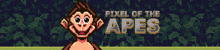 Pixel Of The Apes Pota GIF - Pixel Of The Apes Pota GIFs