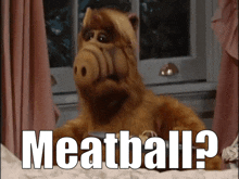 Alf Meatball GIF - Alf Meatball Want A Meatball GIFs