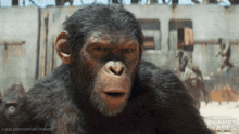 Confused Noa GIF - Confused Noa Kingdom Of The Planet Of The Apes GIFs