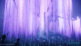 a poster for avatar the last airbender shows a purple forest