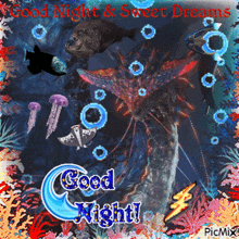 a picture of fish and jellyfish says good night
