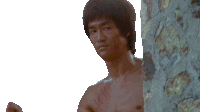 Thumbs Up Lee Sticker - Thumbs Up Lee Bruce Lee Stickers