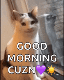 Cat Grin GIF - Cat Grin Smile GIFs