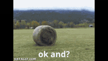 okay and ok and tractor hay bale