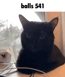 a black cat laying on a table with the words balls 543 written above it