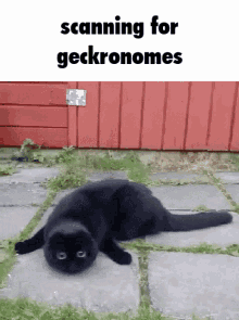 Geckronome GIF