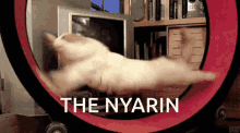 Thenyarin GIF - Thenyarin Nyarin GIFs