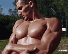 sexy muscle