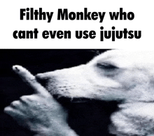 a black and white photo of a dog with the caption filthy monkey who can t even use jujutsu