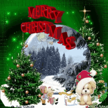 Navidad Merry Christmas GIF - Navidad Merry Christmas Dog GIFs