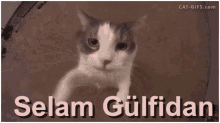 Selam Gülfidan GIF - Selam Gülfidan GIFs