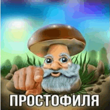 a mushroom with a beard is pointing at the camera .