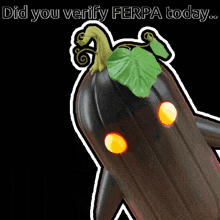 a picture of an eggplant with the words did you verify ferpa today on the bottom