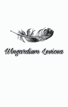 Hogwarts Wingardium Leviosa GIF - Hogwarts Wingardium Leviosa Feder GIFs