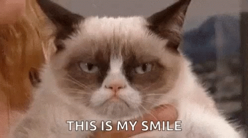 grumpy cat smile gif