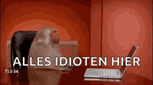a monkey is sitting at a table with a laptop computer .